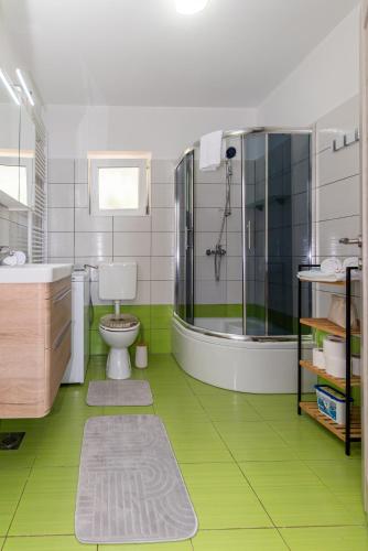 a green bathroom with a shower and a toilet at Apartman D&D in Starigrad
