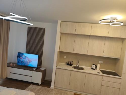 a room with a kitchen with a sink and a tv at Komitet Planet Apartment - Free Garage & Modern stay in Niš