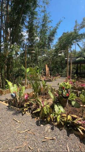 Jardí fora de Lombok Glamping