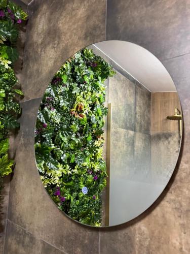 a circular mirror with a green wall with plants at Cabana A Vic in Taşca
