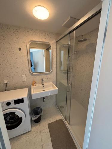 a bathroom with a shower and a sink and a washing machine at Augarten in Vienna