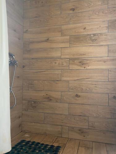 a bathroom with a wooden wall at Traditional Detached House in Spetses