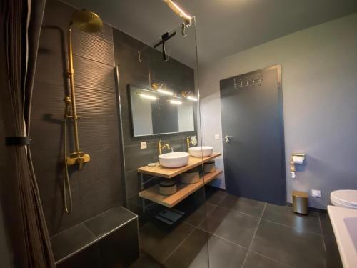 a bathroom with a sink and a shower and a toilet at Pepy & Delmis in Chens-sur-Léman