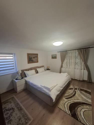 a bedroom with a large bed and a window at Harmony house in Buziaş