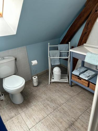 a bathroom with a toilet and blue walls at La Grange de Flavigny in Flavigny