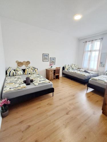 Comfortable Apartment for Group Stays 10a