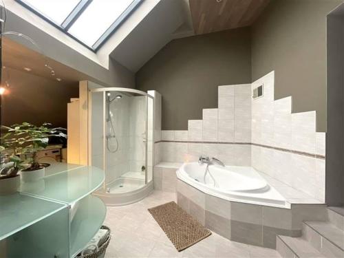 a bathroom with a tub and a shower and a sink at Tomorrowland Boom in Boom