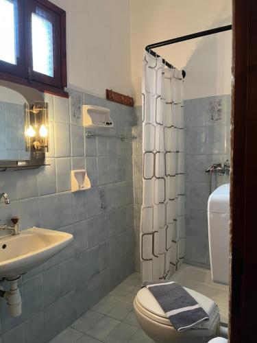 a bathroom with a toilet and a sink and a shower at Studio Sevasti in Kala Nera