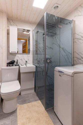 a bathroom with a shower and a toilet and a sink at One bedroom apartment in Viljandi