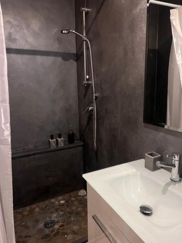 a bathroom with a shower with a sink and a shower at Martina Fillungo Loft in Lucca