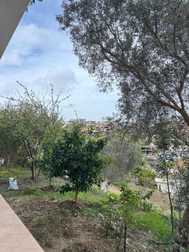 a view of a park with a tree in the foreground at Kapllani Guest House in Durrës