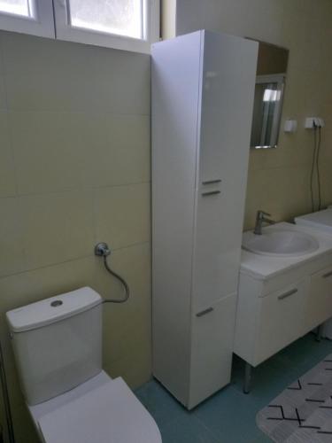 a bathroom with a toilet and a sink at Sonja Sea View House in Zagrađe