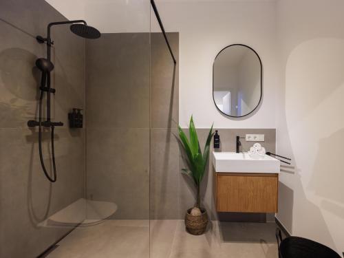 a bathroom with a shower and a sink and a mirror at PLEIB COLOGNE - Premium Suites in Cologne