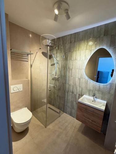 a bathroom with a shower and a toilet and a sink at Lázár Pension & Restaurant in Gheorgheni
