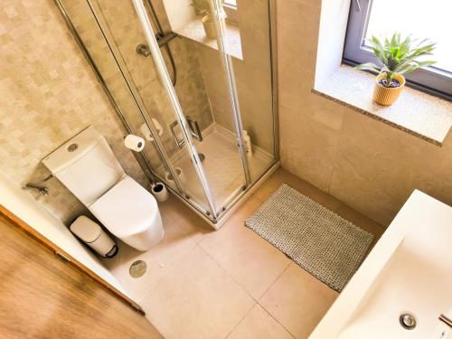 a bathroom with a shower and a toilet and a sink at Wylde Roots River House - with natural river swimming pools in Couto de Baixo