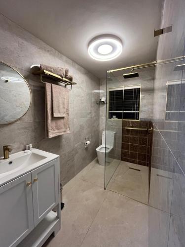a bathroom with a shower and a sink and a toilet at Lovista in Tygerberg Hills