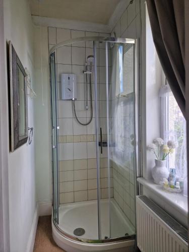 a shower with a glass door in a bathroom at Littlebeck in Danby
