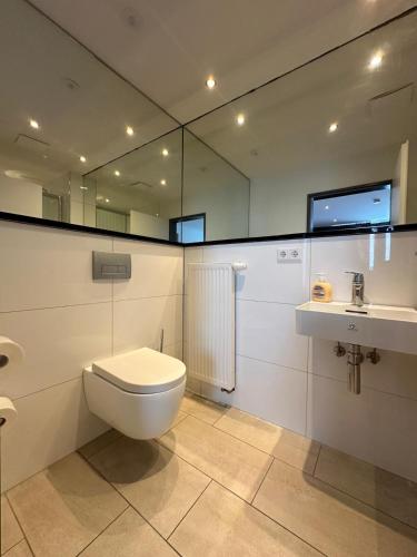 a bathroom with a toilet and a sink and a mirror at Studio 21 in Hasselroth