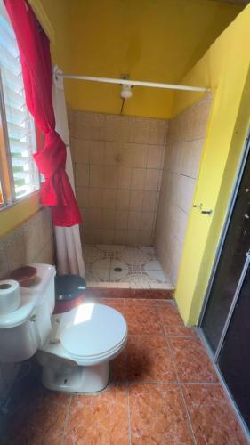 a bathroom with a toilet and a shower at Accommodation in Copán Ruinas #6 in Copán Ruinas