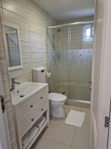a bathroom with a sink and a toilet and a shower at Stuffino Crisan in Crisan