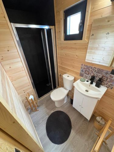 a small bathroom with a toilet and a sink at The Little House in Sohodol