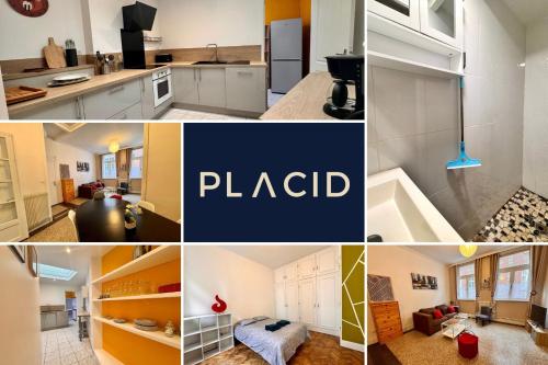 a collage of photos of a kitchen and living room at L'entre 2 places, Apt 42 m² hyper centre Arras in Arras