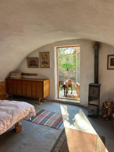 Cozy 100-year-old granary with a stove and goats