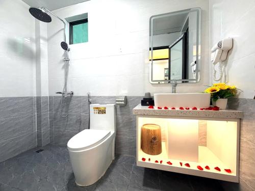 a bathroom with a toilet and a sink and a mirror at Green Luxury Hotel in Hà Ðông