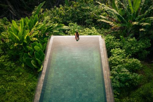 a butterfly is sitting on top of a swimming pool at Villa Das Contas Boutique in Itacaré