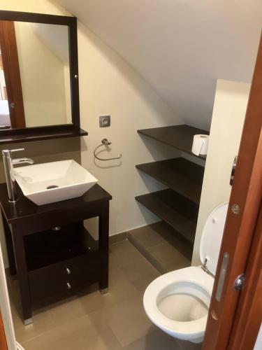 a bathroom with a toilet and a sink and a mirror at Chambre indépendante in Saint-Roman