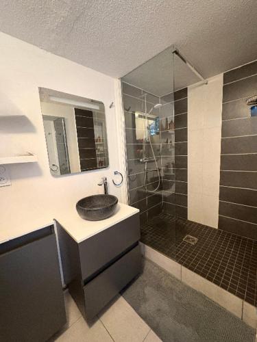 a bathroom with a sink and a shower at Villa 4 personnes avec jardinet résidence Le Scarlett in Palavas-les-Flots