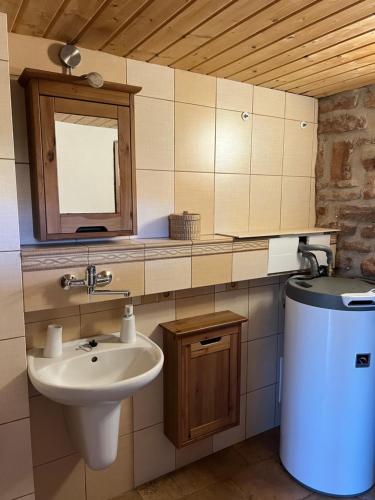 a bathroom with a sink and a mirror and a trash can at Chata Dolce in Trutnov