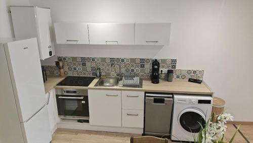 a kitchen with a sink and a stove and a dishwasher at Studio Les Petits Marcheurs in Saint-Claude