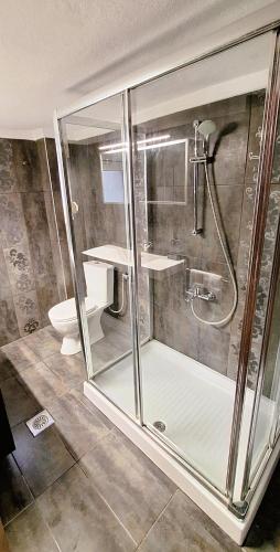 a bathroom with a shower and a toilet at Zen Villa Porto Molo in Ávdhira