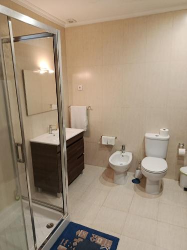 a bathroom with a toilet and a sink and a shower at Casa do Pomarelho in Póvoa de Lanhoso
