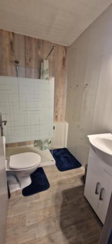 a bathroom with a toilet and a sink at Appartement St montan in Saint-Montan