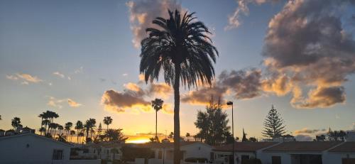 a palm tree in front of a cloudy sky at Santa Barbara by Placida Mar in Playa del Ingles