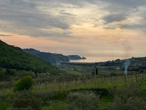 a view of a valley with a vineyard and a lake at Saleto Apartma in Jagodje