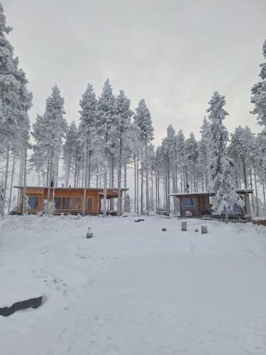 a house in the snow in front of trees at Aurora Atelier Onnela in Rovaniemi