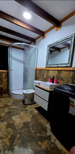 a bathroom with a shower and a toilet in it at Casa Hortencia in Coñaripe