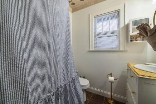 a bathroom with a shower curtain and a toilet at Walkable Designer Cottage In GV in Columbus