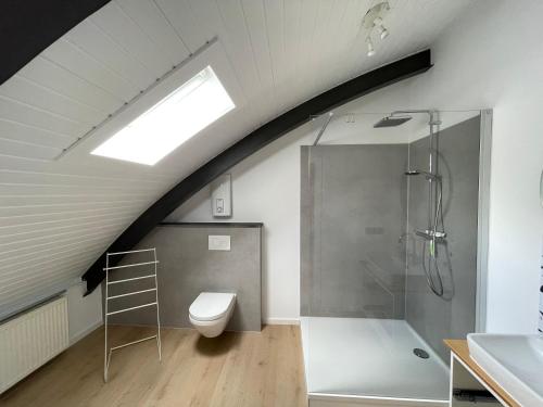 an attic bathroom with a toilet and a shower at Urlaubsschmiede Mosel in Traben-Trarbach