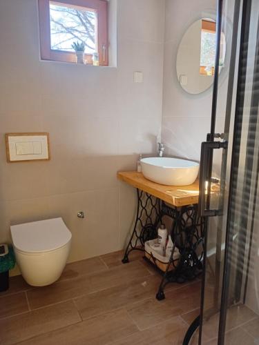 a bathroom with a sink and a toilet at Montecasa in Travnik