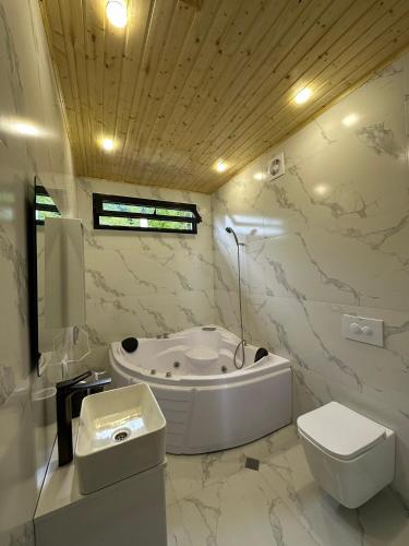a bathroom with a tub and a toilet and a sink at Eco Elegance in Makho