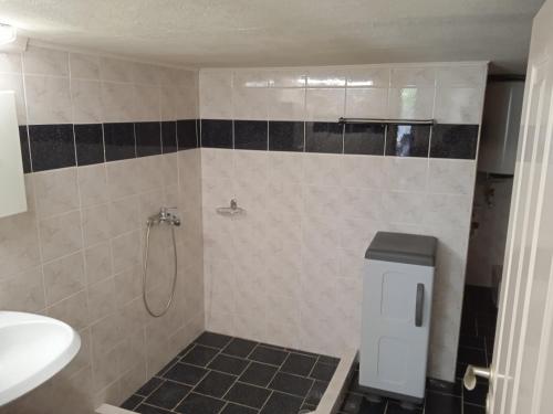 ein Badezimmer mit Dusche, Toilette und Waschbecken in der Unterkunft Alkion Platana in Kími