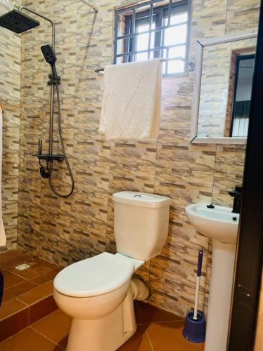 a bathroom with a toilet and a sink at Water House Lodge in Apenkwa