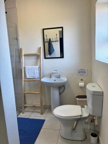 a bathroom with a toilet and a sink at Gamtoosberg Cottage in Oudtshoorn