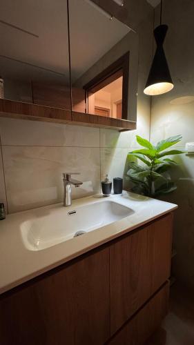 a bathroom with a white sink and a plant at imvros home luxury in Alexandroupoli