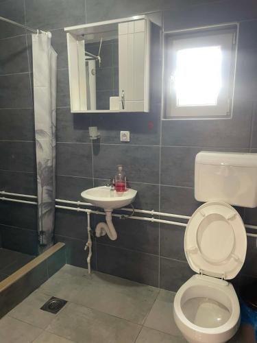 a bathroom with a toilet and a sink at Petrovica in Aluga