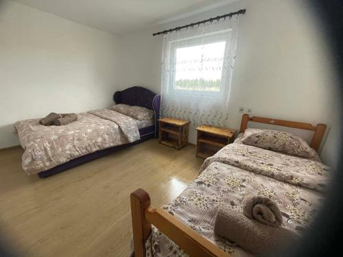 a bedroom with two beds and a window at Petrovica in Aluga
